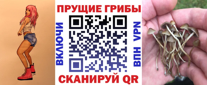 Псилоцибиновые грибы прущие грибы  наркотики  Олонец 
